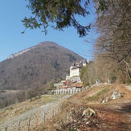 Charmant Appartement Lac D'Annecy / Ski - 6 Pers Menthon-Saint-Bernard Εξωτερικό φωτογραφία