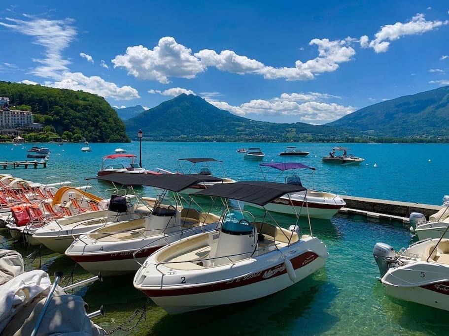 Charmant Appartement Lac D'Annecy / Ski - 6 Pers Menthon-Saint-Bernard Εξωτερικό φωτογραφία