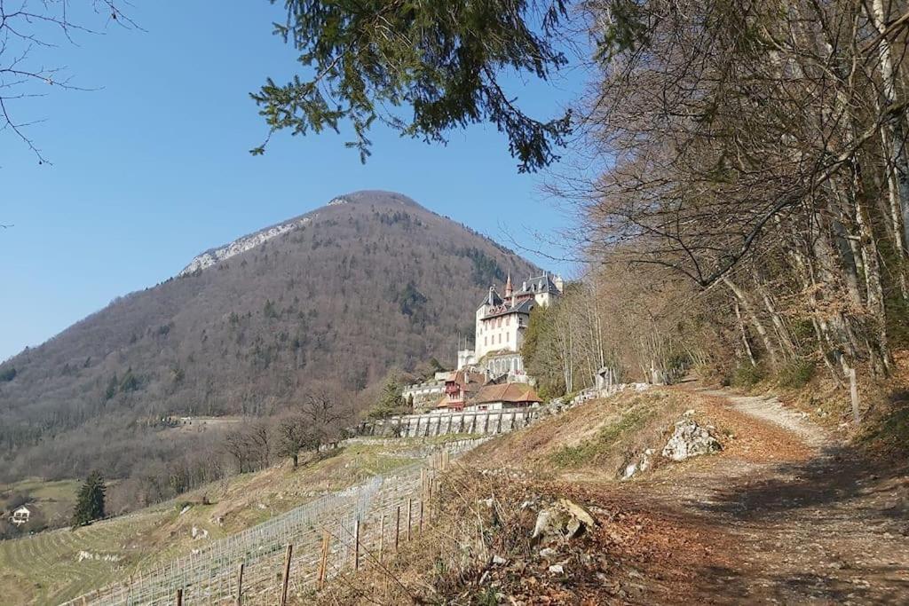 Charmant Appartement Lac D'Annecy / Ski - 6 Pers Menthon-Saint-Bernard Εξωτερικό φωτογραφία